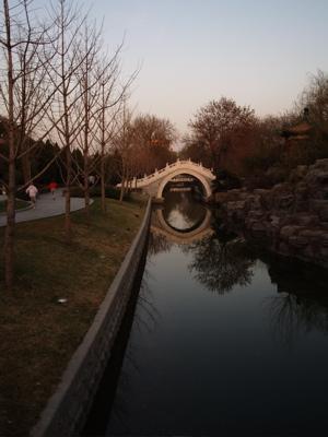 965202770.jpg